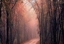 亚冠精英赛是什么？它和传统亚冠有哪些不同？