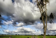 吉维森特对阵查维斯，这场比赛的比分会如何发展？